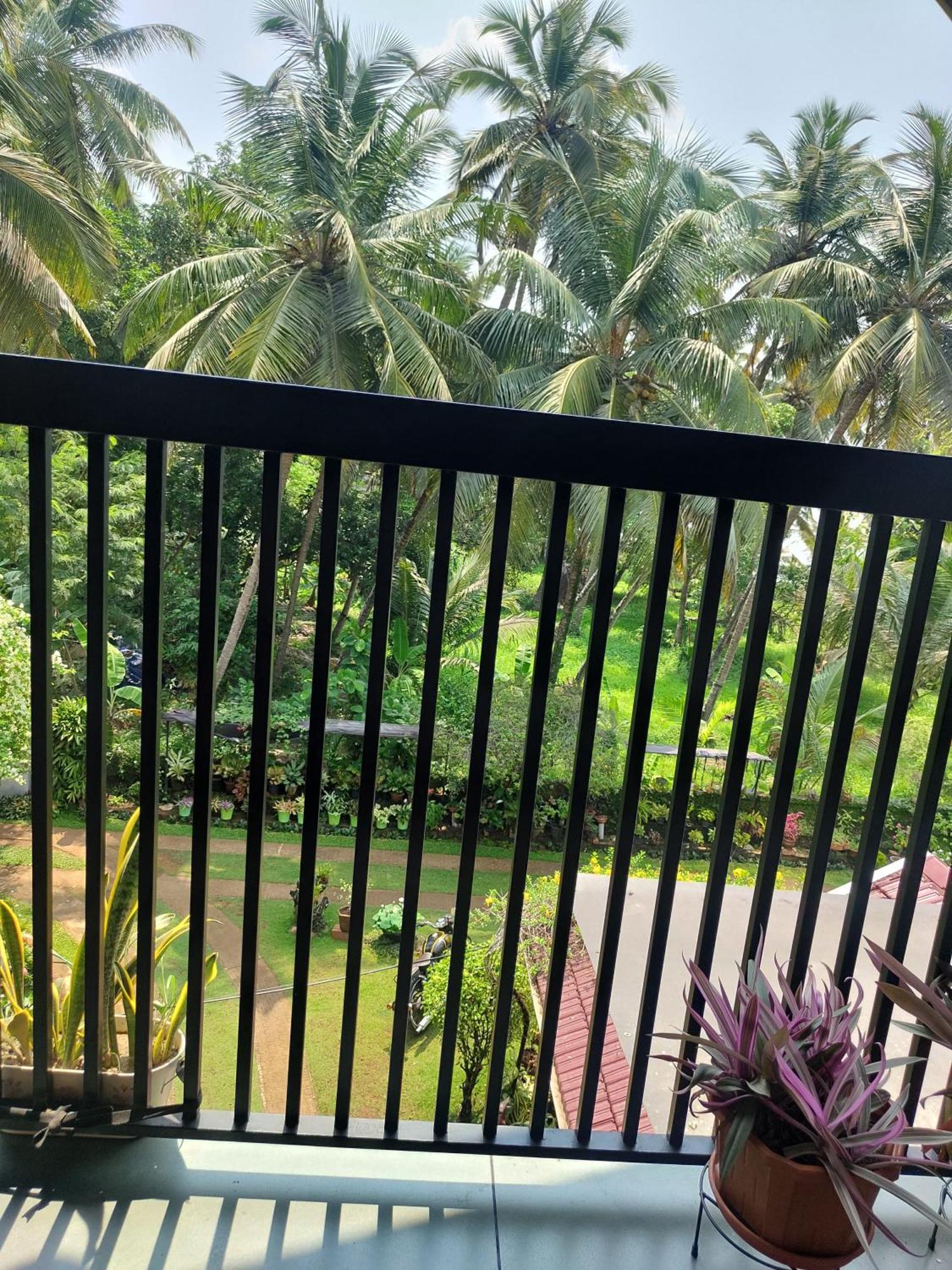 Maleyam Homestay Riverside Calicut Exterior foto